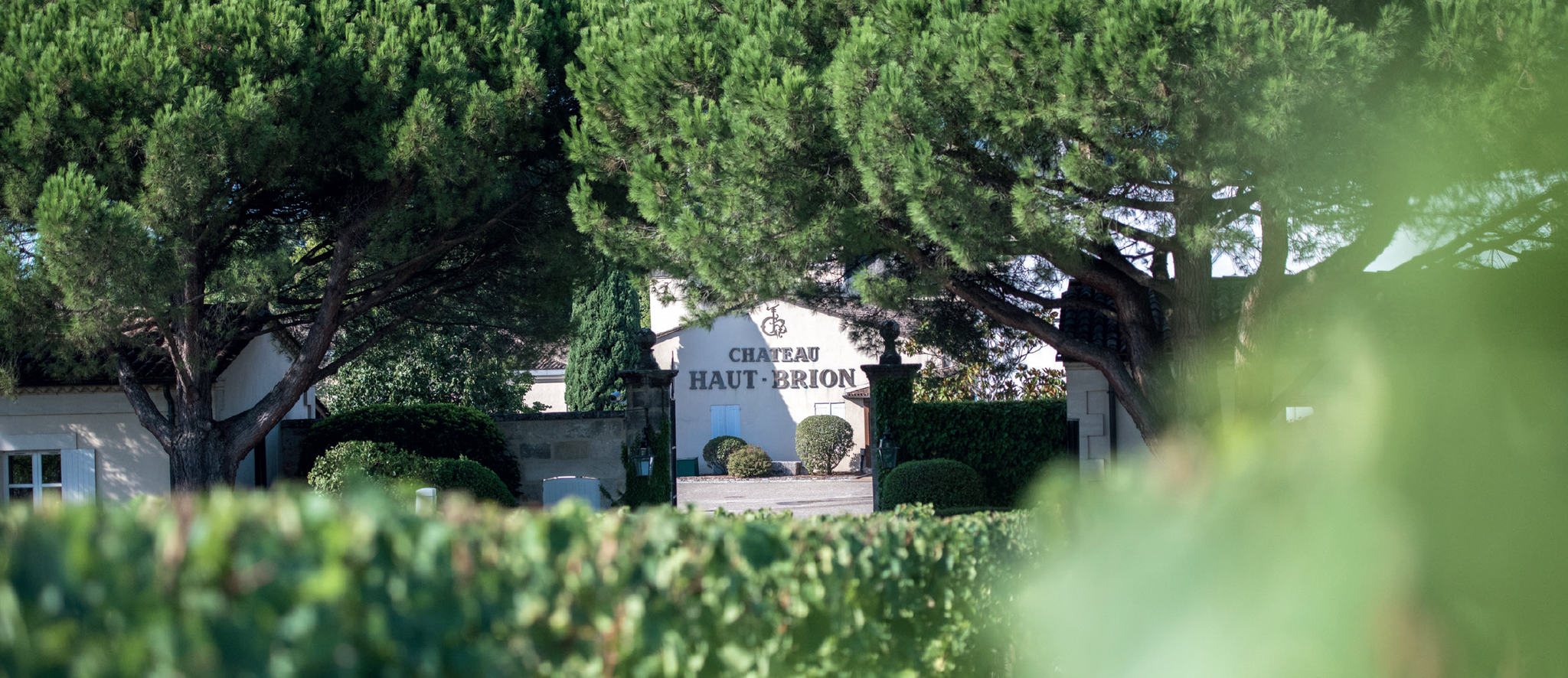 Chateau Haut-Brion Collectible Wines | Angry Wine Merchant