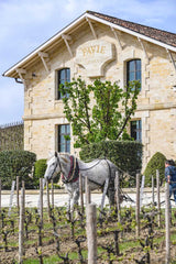 Chateau Pavie Horse Image wine sold by Angry Wine Merchant