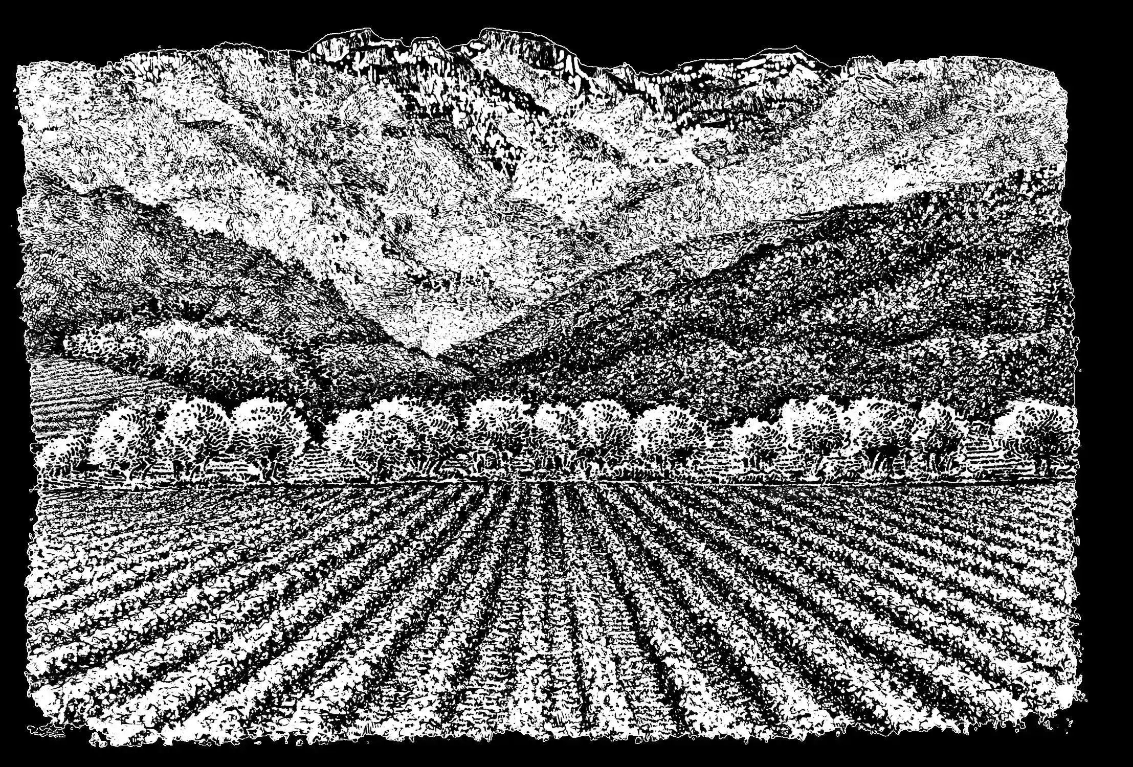Eisele Vineyard label Napa Valley USA sold by Angry Wine Merchant