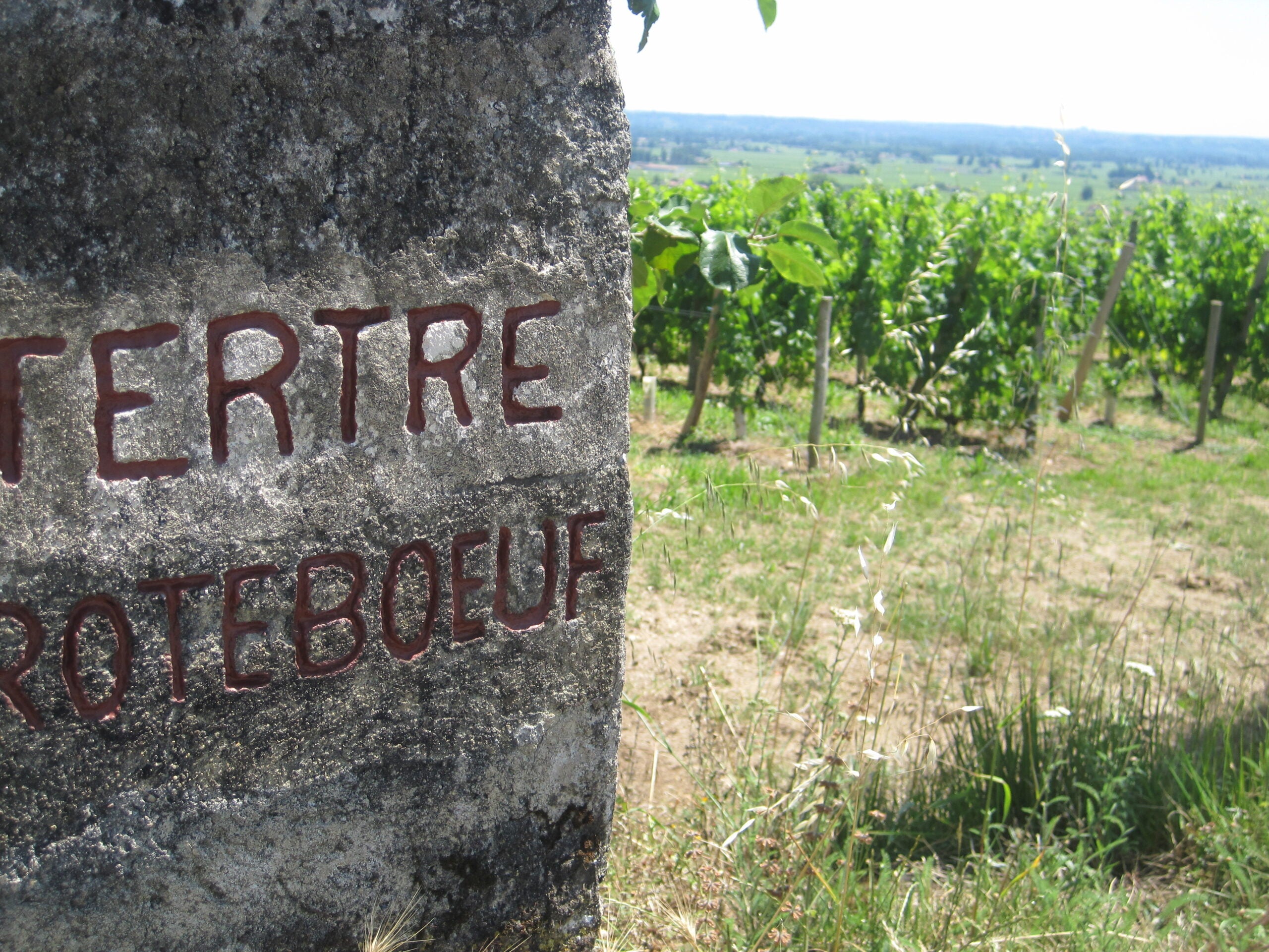 Chateau Le Tertre Roteboeuf Saint Emilion France sold by Angry Wine Merchant