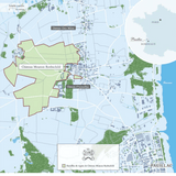 2011 Château Mouton Rothschild - Angry Wine Merchant