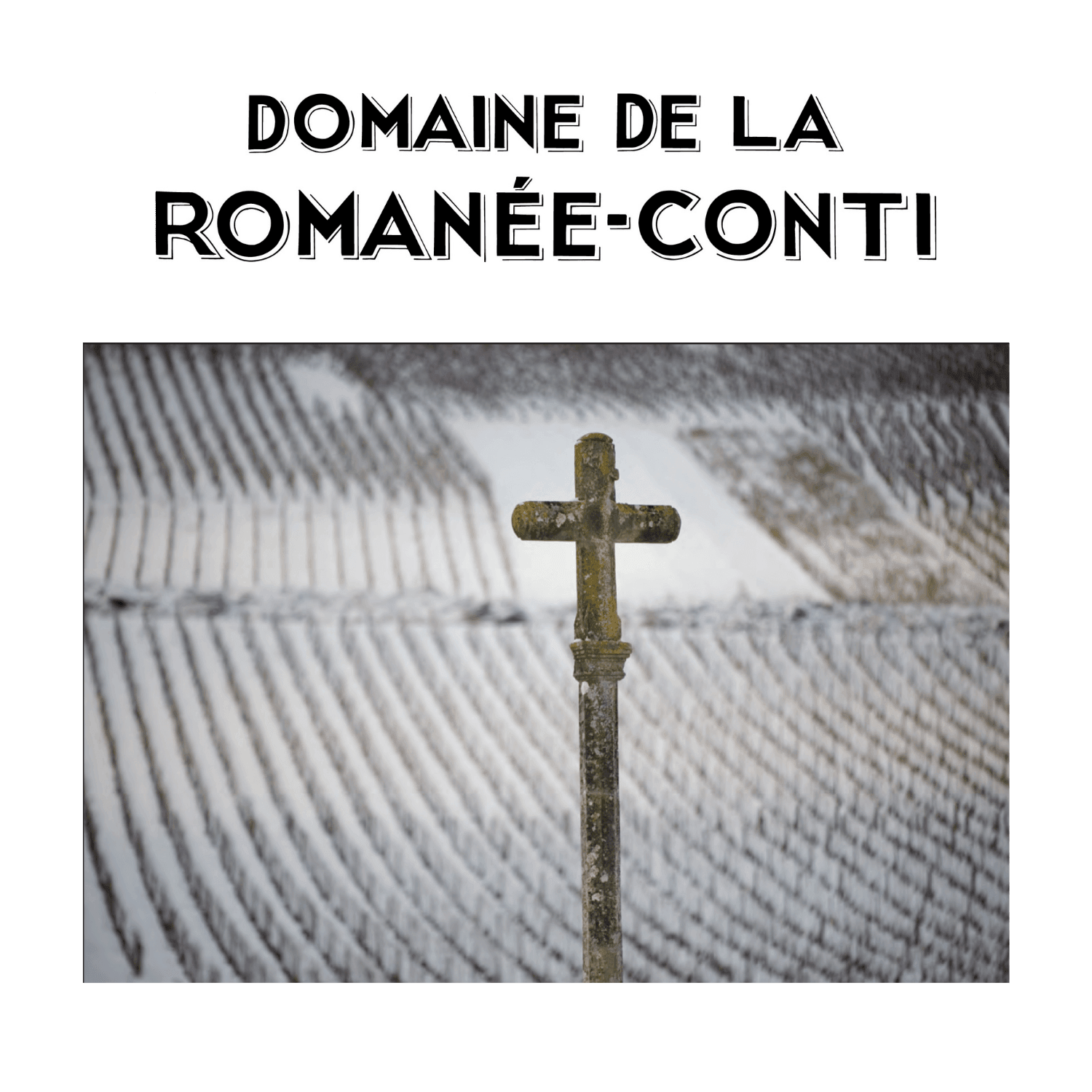 2014 Domaine de la Romanée-Conti - Angry Wine Merchant