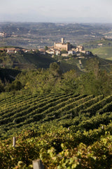 2016 Vietti - Angry Wine Merchant