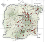 2018 Luce della Vite - Angry Wine Merchant