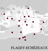 2019 Domaine Mongeard-Mugneret - Angry Wine Merchant