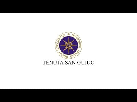 2008 Tenuta San Guido Sassicaia Bolgheri, Tuscany, Italy