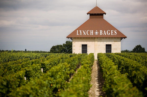 2005 Chateau Lynch-Bages - Angry Wine Merchant