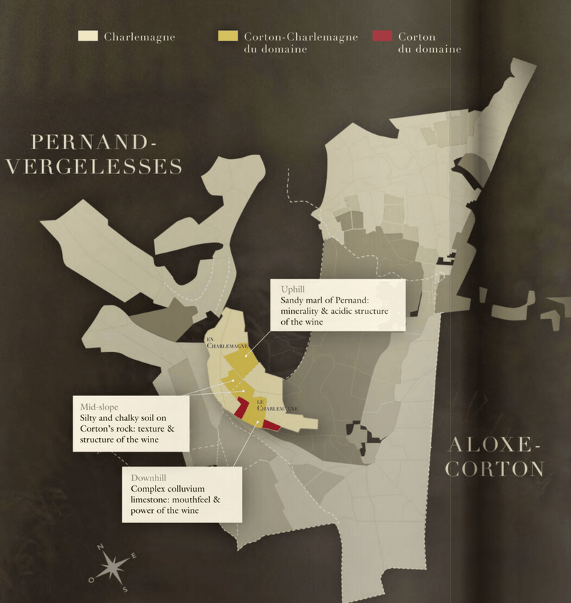 2010 Domaine Bonneau du Martray - Angry Wine Merchant