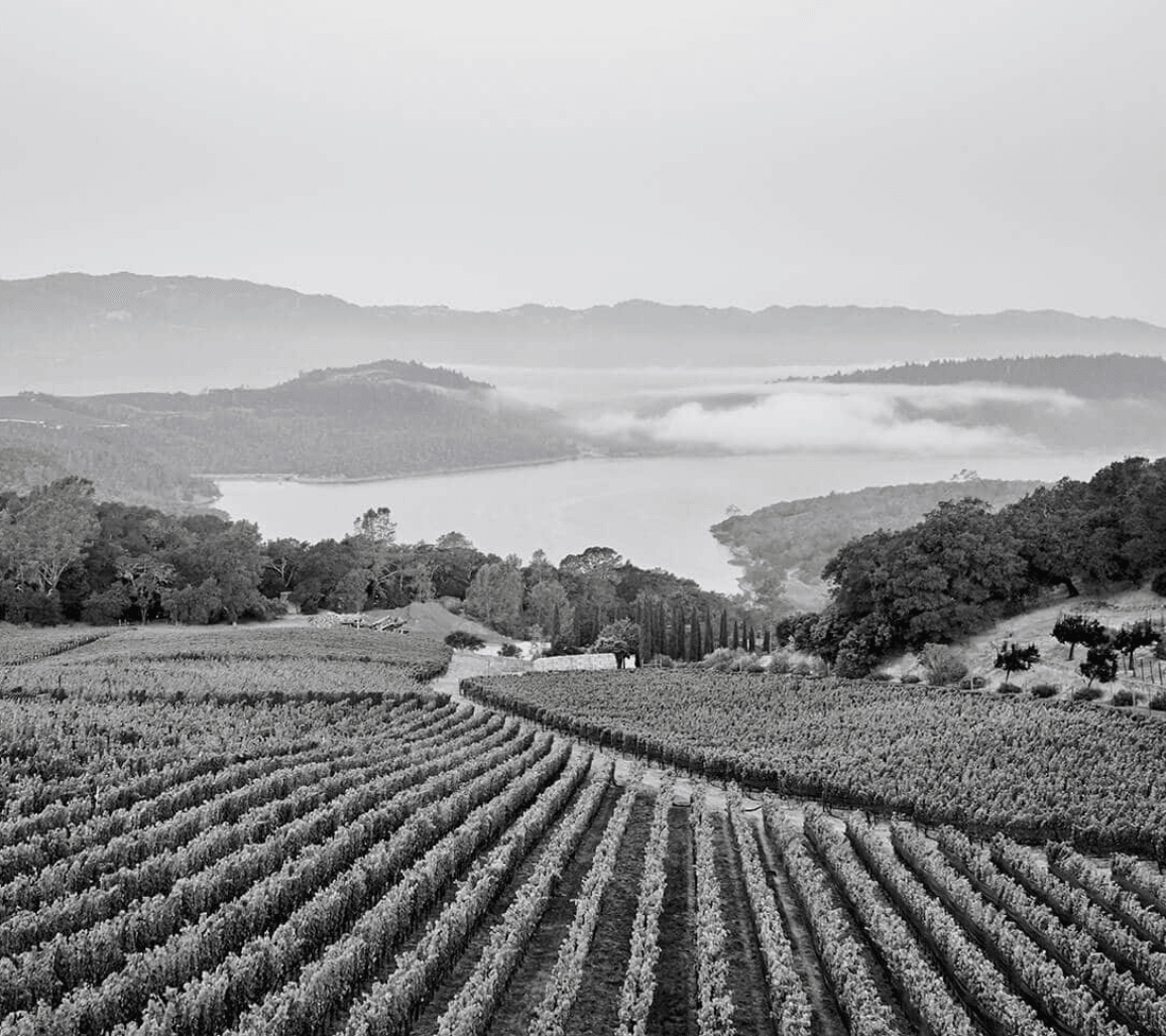 2014 Bryant Family Vineyard - Angry Wine Merchant