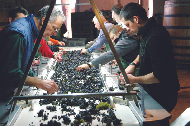 2014 Domaine de la Romanée-Conti - Angry Wine Merchant