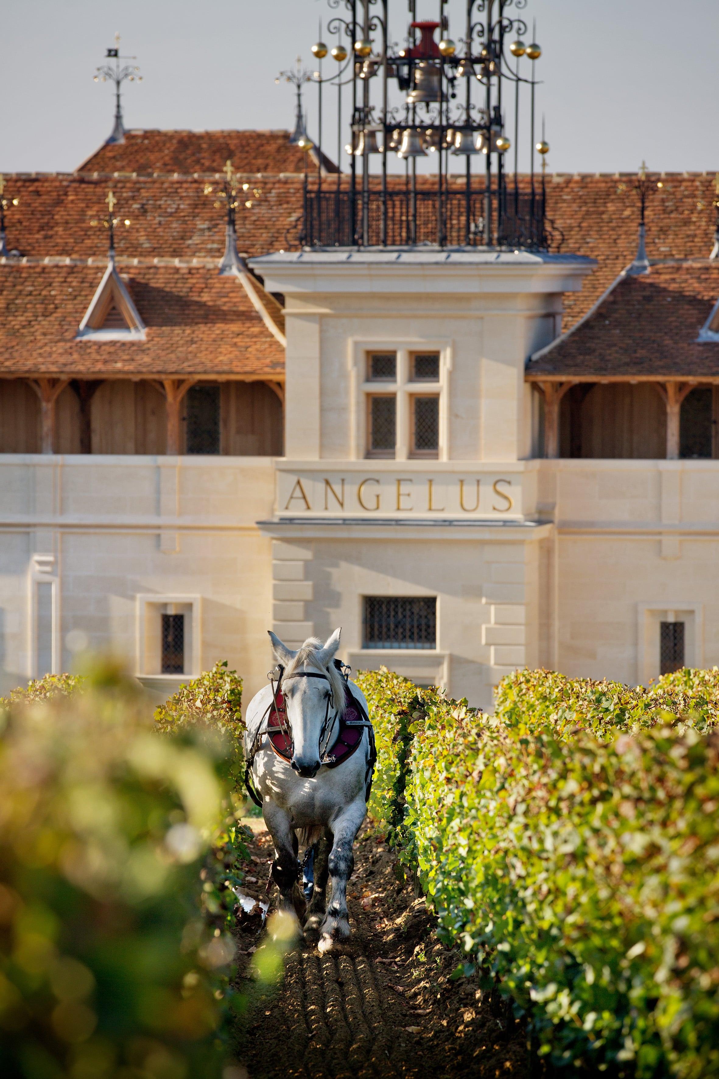 2022 Chateau Angélus | Angry Wine Merchant
