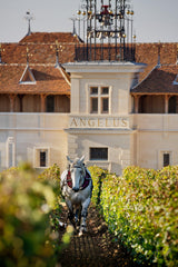 2016 Château Angélus - Angry Wine Merchant