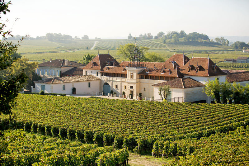 2016 Château Angélus - Angry Wine Merchant