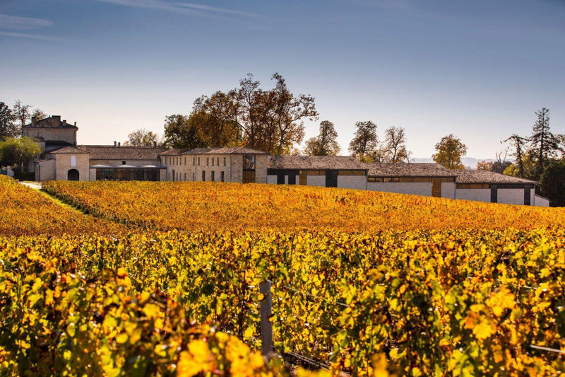 2016 Château Figeac - Angry Wine Merchant