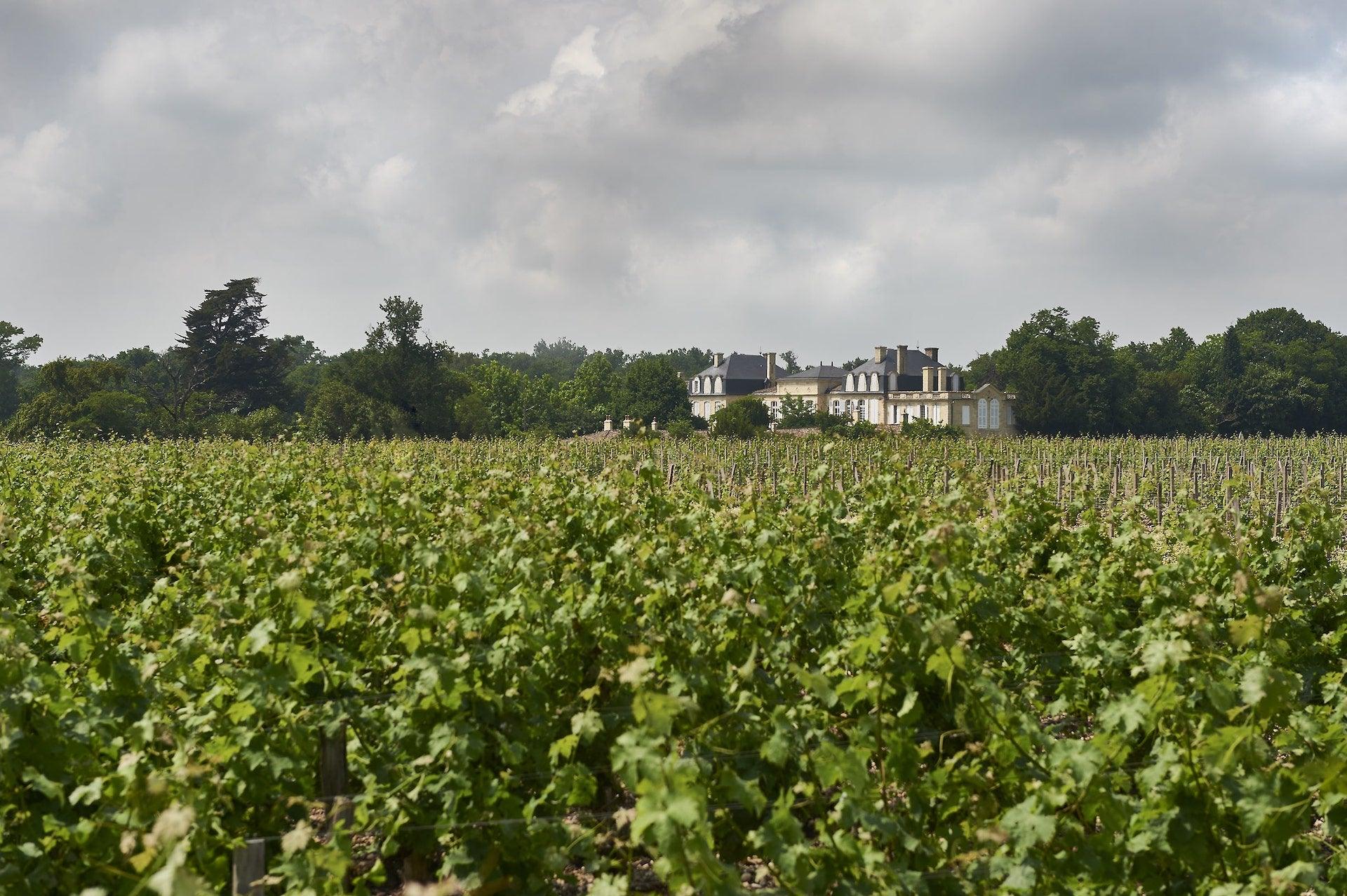 2000 Chateau Leoville Barton – Saint-Julien | Angry Wine Merchant
