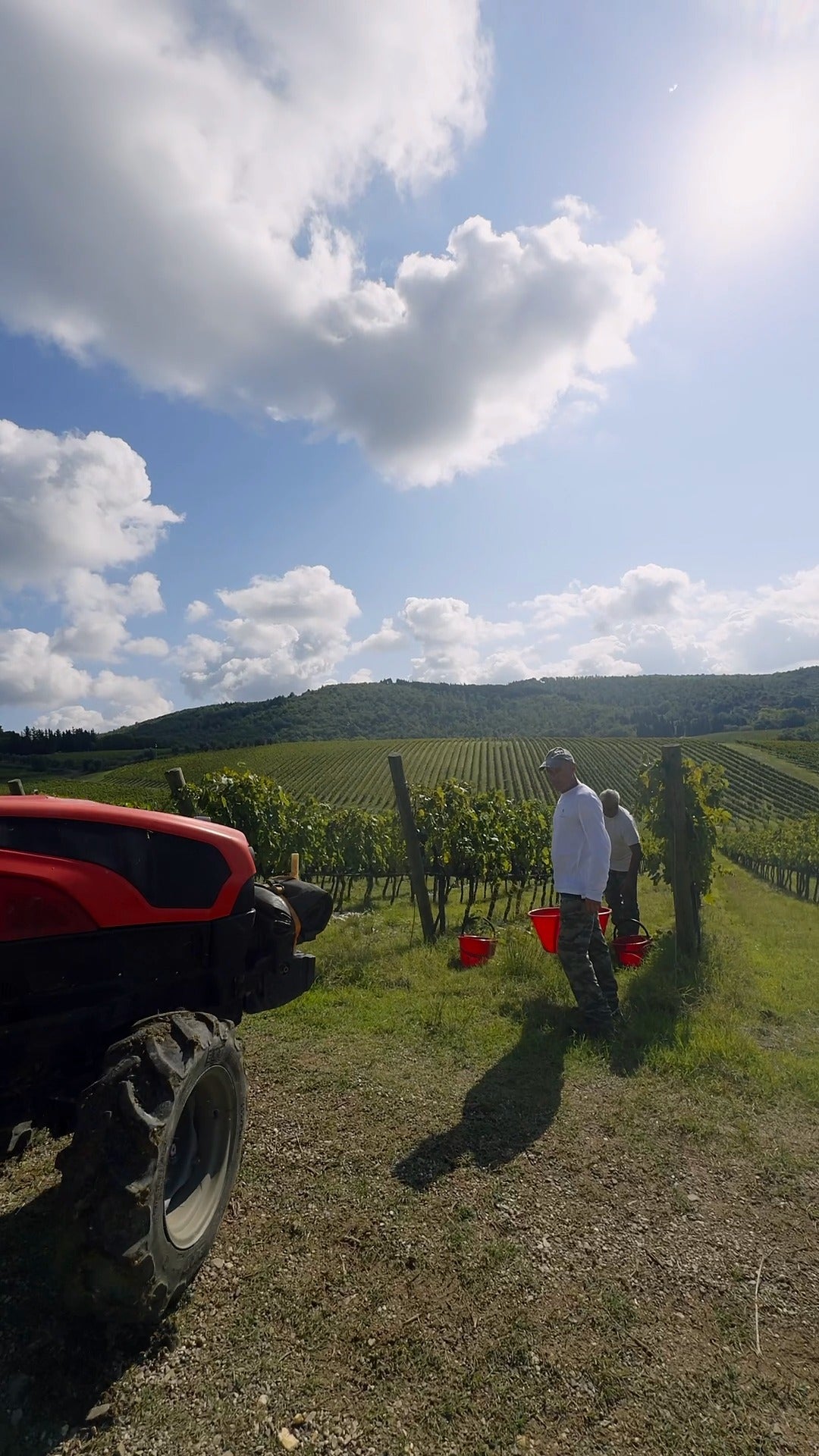 2021 Tignanello – Tuscany's Collectible Wine | Angry Wine Merchant