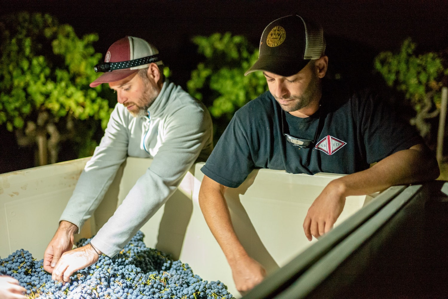 2013 MacDonald Vineyards