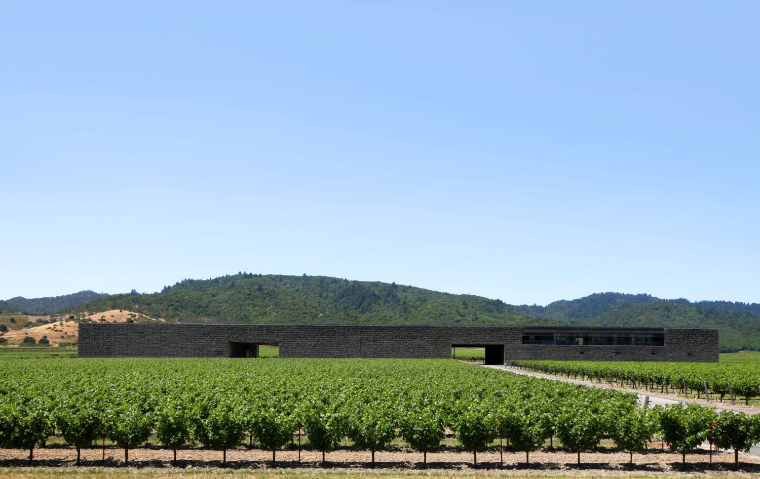 2021 Dominus Estate – Napa Valley | Angry Wine Merchant
