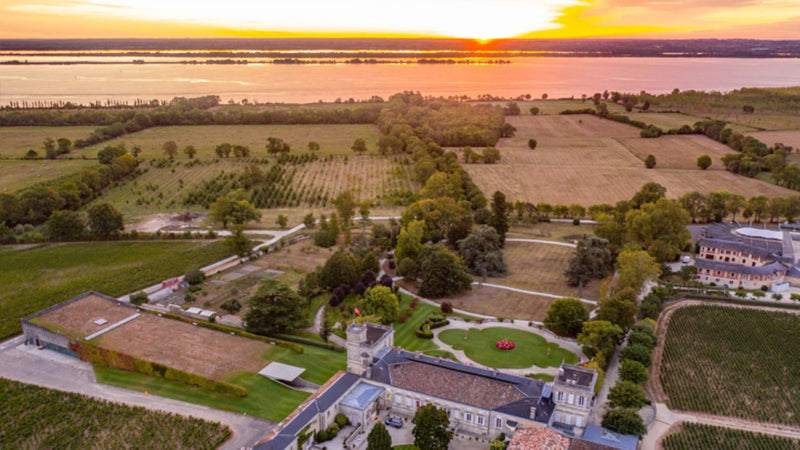 Chateau Ducru-Beaucaillou- Angry Wine Merchant