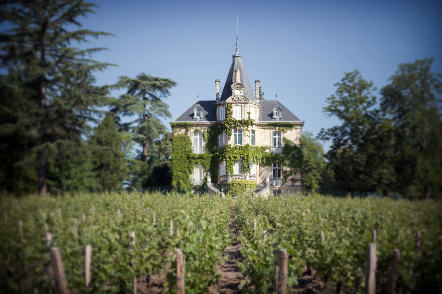 2022 Chateau Les Carmes Haut-Brion | Angry Wine Merchant