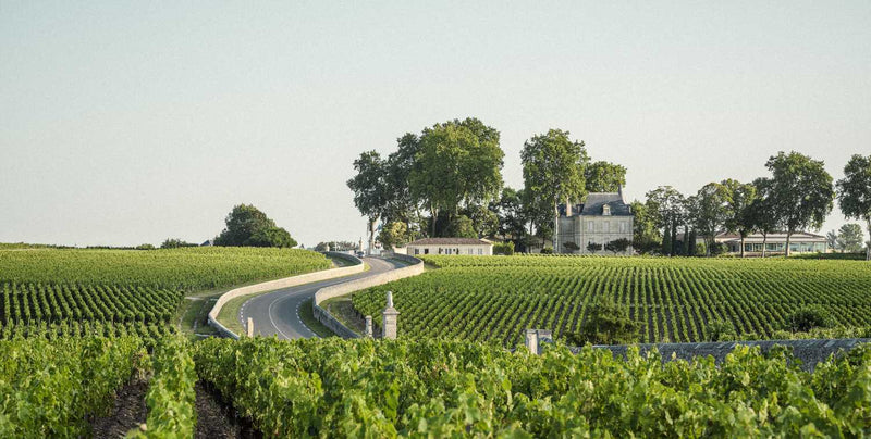 2020 Chateau Pichon Longueville