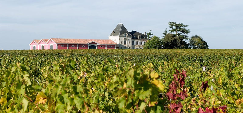 2019 Chateau l'Evangile