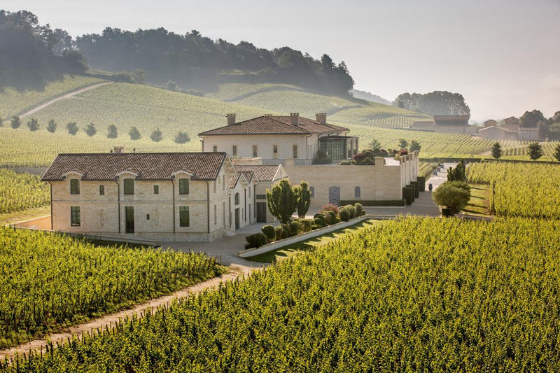 Chateau Pavie wine sold by Angry Wine Merchant