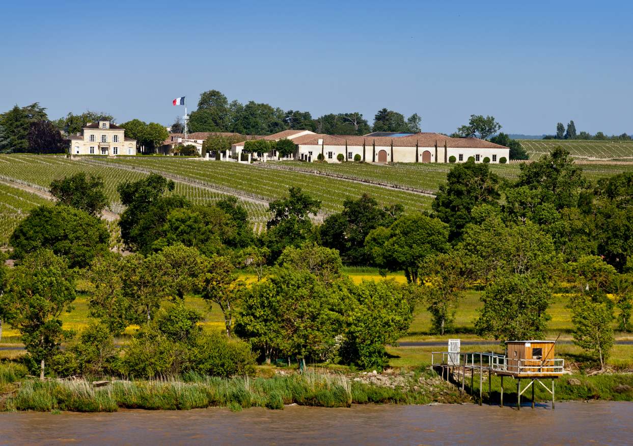 2022 Chateau Montrose