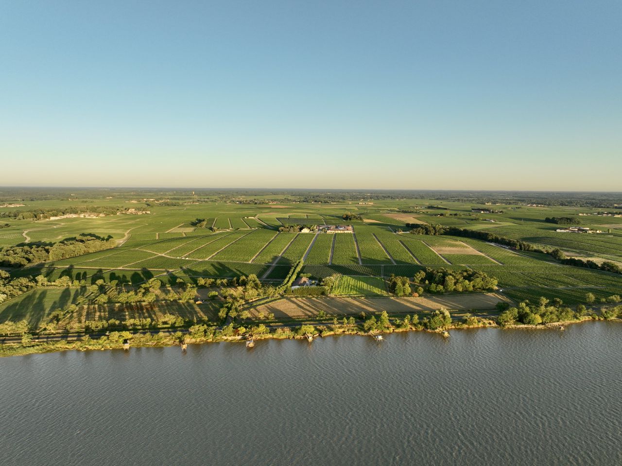 chateau montrose sold by Angry Wine Merchant