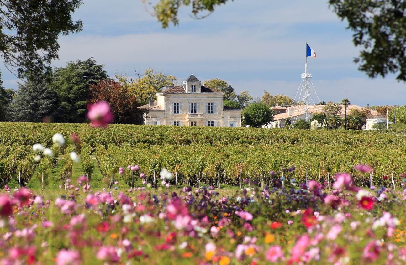 chateau montrose sold by Angry Wine Merchant
