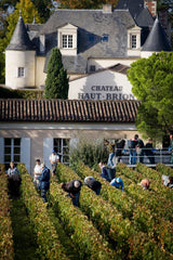 Chateau Haut Brion vineyard Pessac Leognan Bordeaux France sold by Angry Wine Merchant