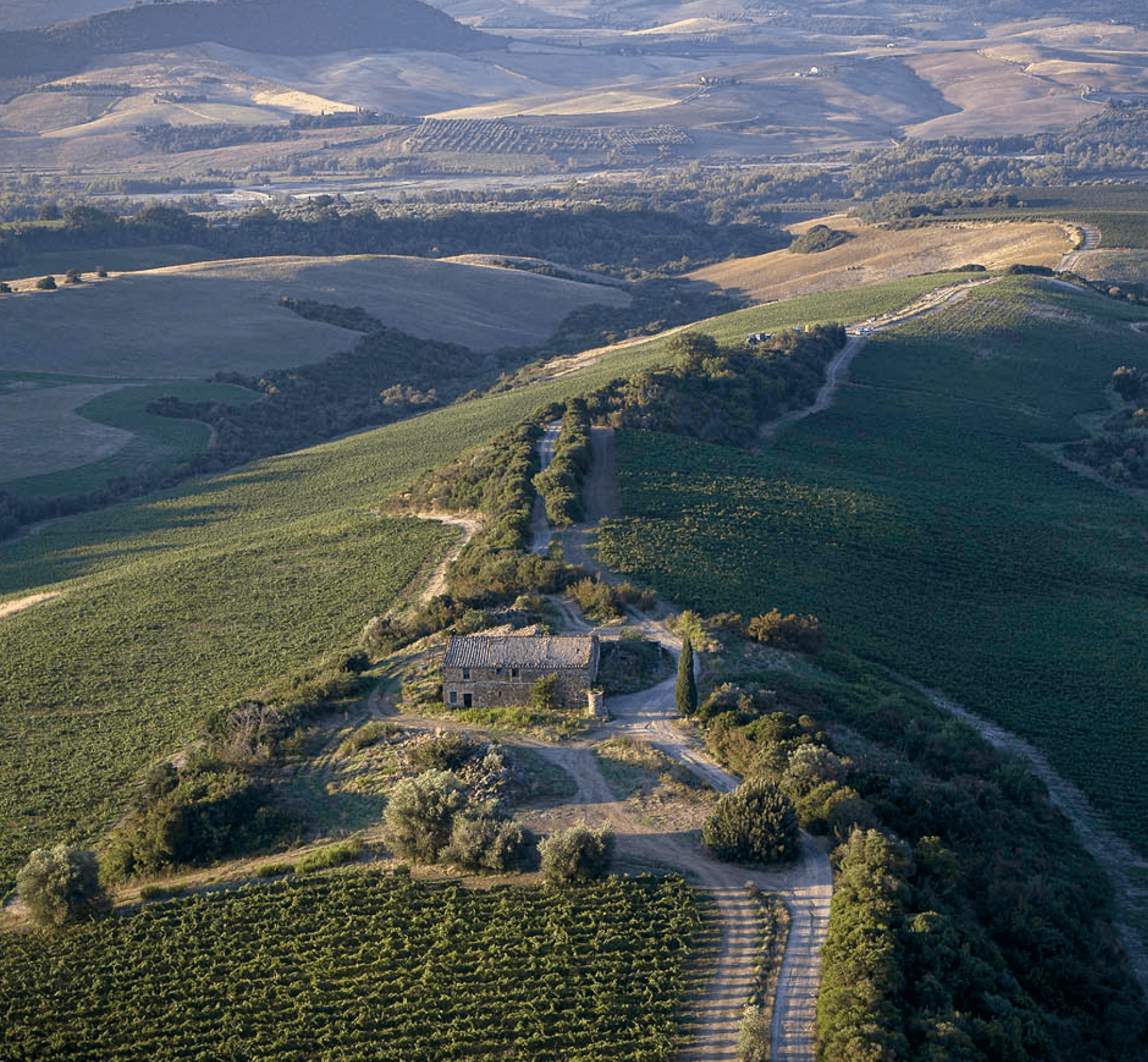 Casanova di Neri - wine sold by Angry Wine Merchant