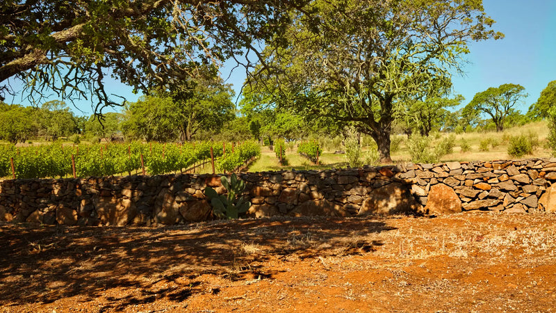 2012 Caymus Vineyards Stone Wall Napa Valley California sold by Angry Wine Merchant