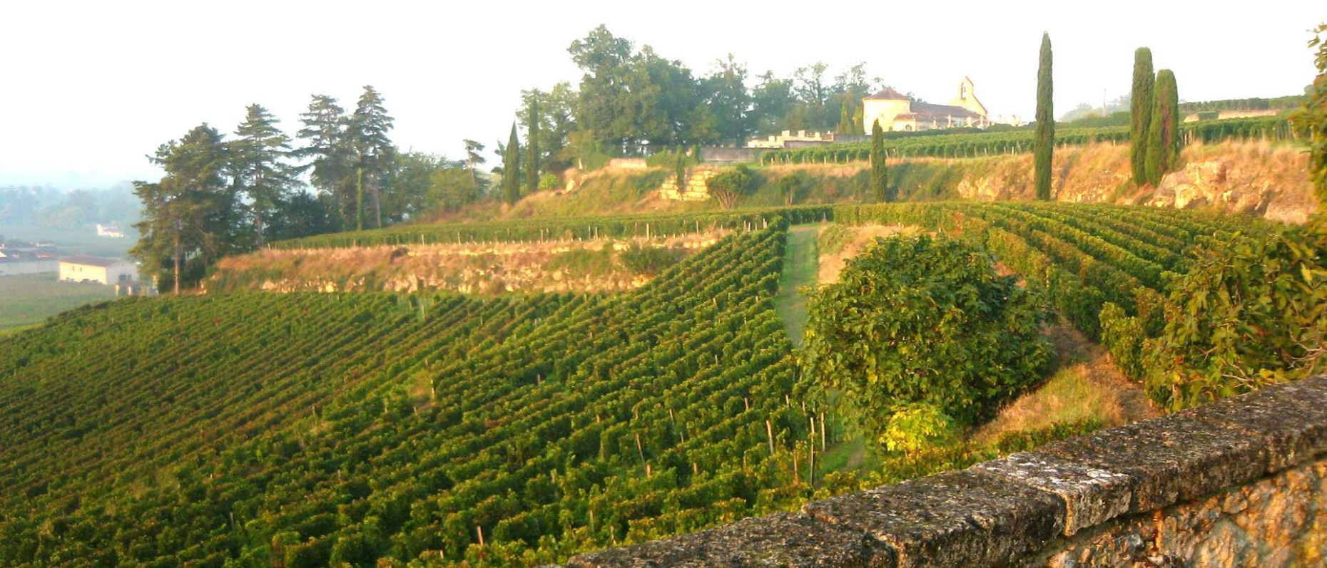 Chateau Le Tertre Roteboeuf Saint Emilion France sold by Angry Wine Merchant