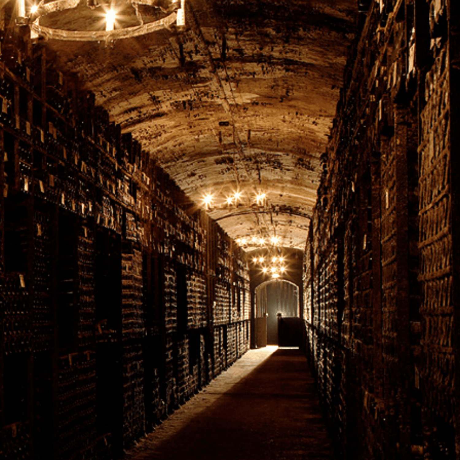 Chateau Mouton Rothschild Cellar_Angry Wine Merchant