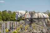 2023 Chateau Pontet-Canet