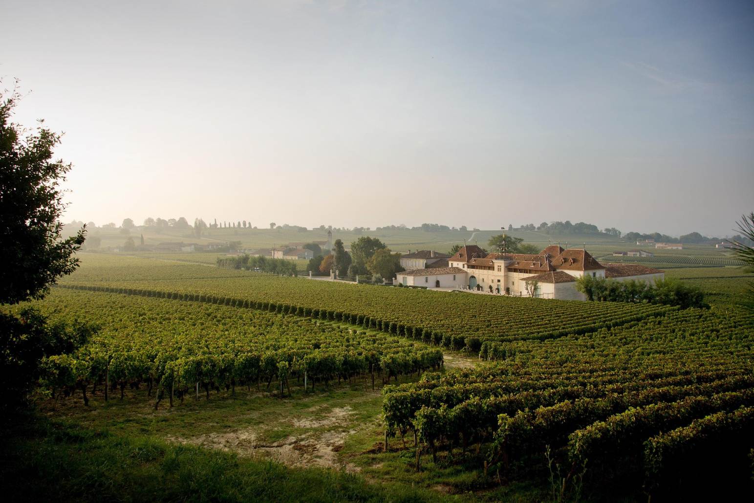 Chateau Angelus wine estate_Angry Wine Merchant