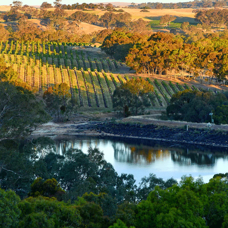 Penfolds Estate Valley Australia sold by Angry Wine Merchant