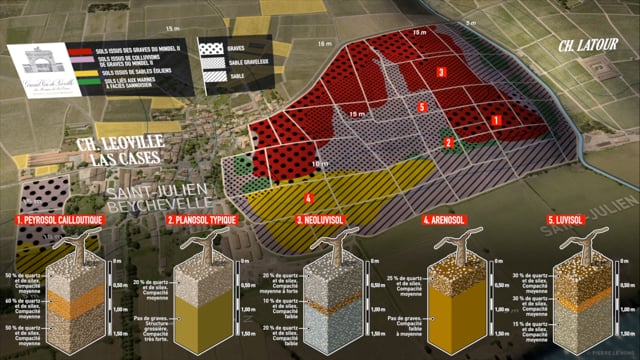 2000 Leoville-Las Cases – Saint-Julien Grand Vin | Angry Wine Merchant