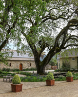 Spottswoode Estate Grounds Cabernet Sauvignon wine St Helena Napa Valley California sold by Angry Wine Merchant