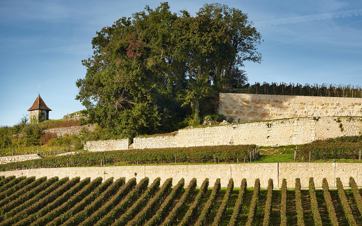 2000 Chateau Pavie – Saint-Émilion Grand Cru | Angry Wine Merchant