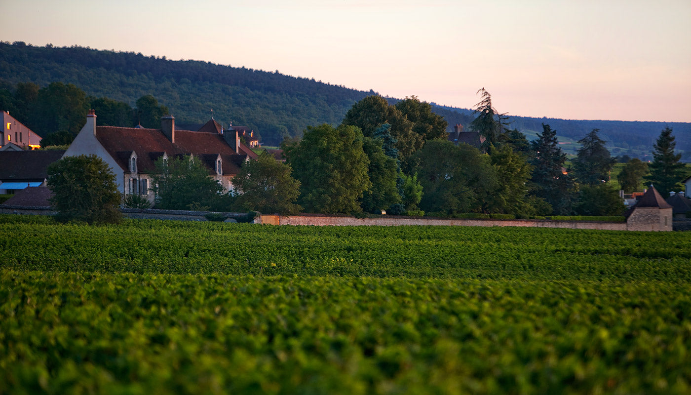 Domaine Dujac Echezeaux Grand Cru 2022 | Angry Wine Merchant