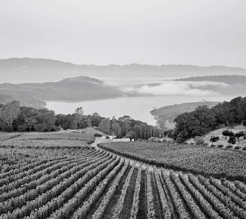 1999 Bryant Family Vineyard - Angry Wine Merchant