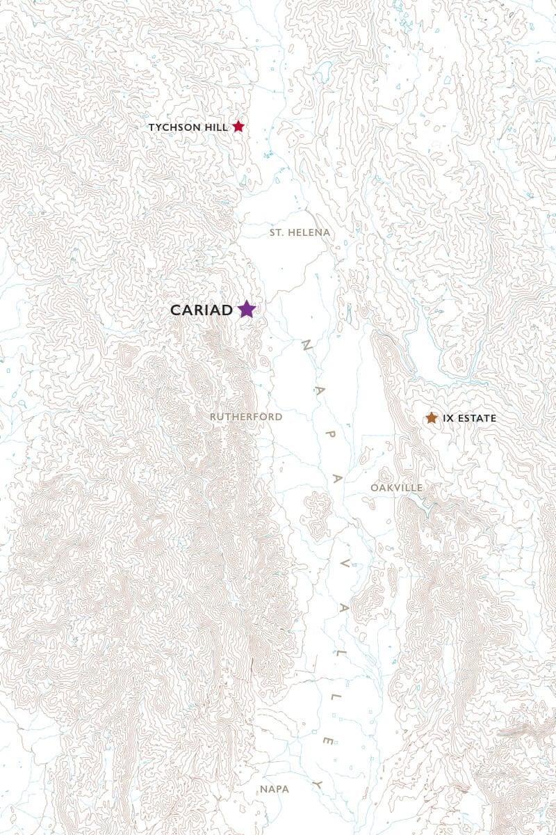 2004 Colgin Cellars - Angry Wine Merchant