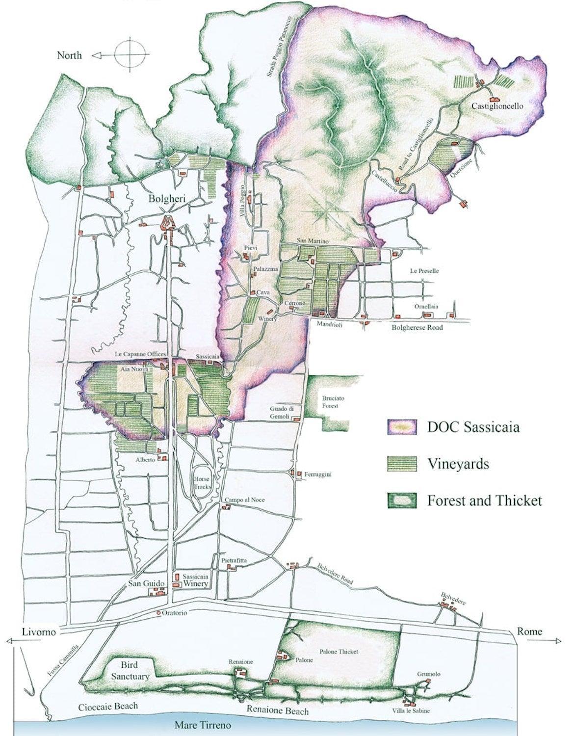 2004 Tenuta San Guido - Angry Wine Merchant