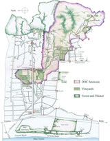 2004 Tenuta San Guido - Angry Wine Merchant