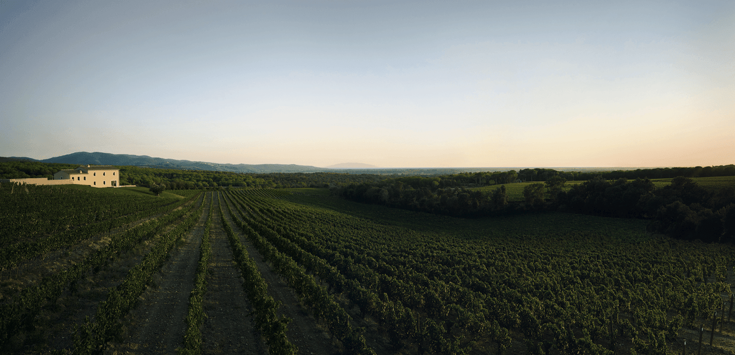 2009 Masseto Toscana - Angry Wine Merchant