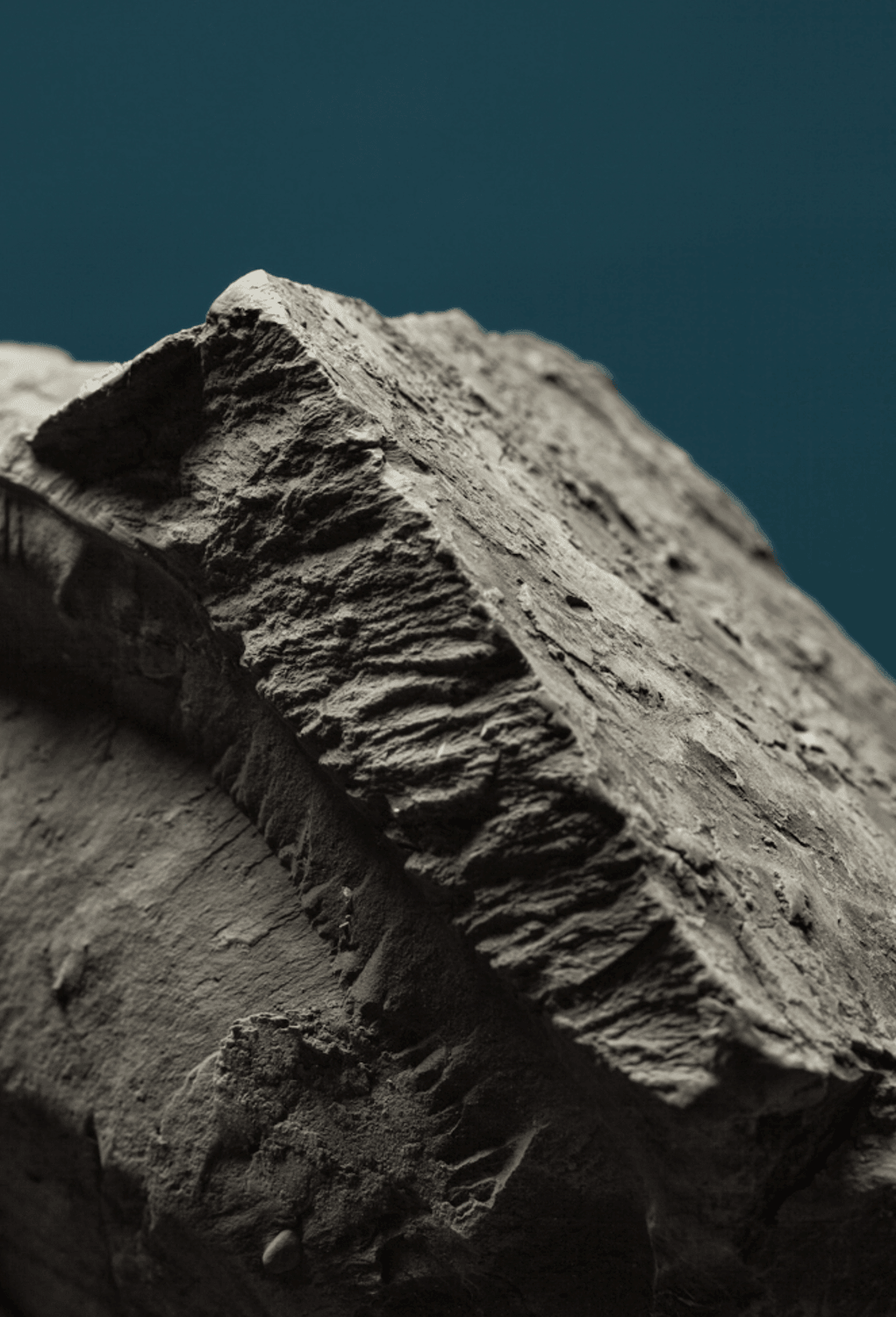 2007 Masseto Toscana IGT - Angry Wine Merchant