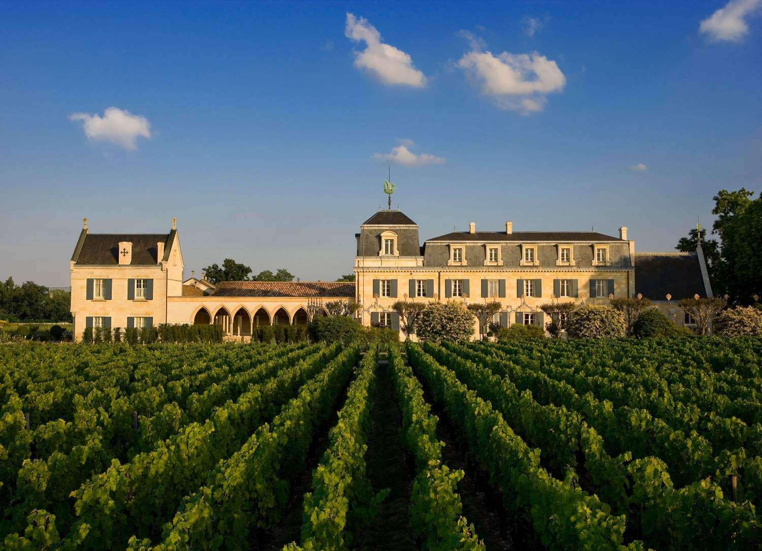 2015 La Mission Haut-Brion – Pessac-Leognan Bordeaux | Angry Wine