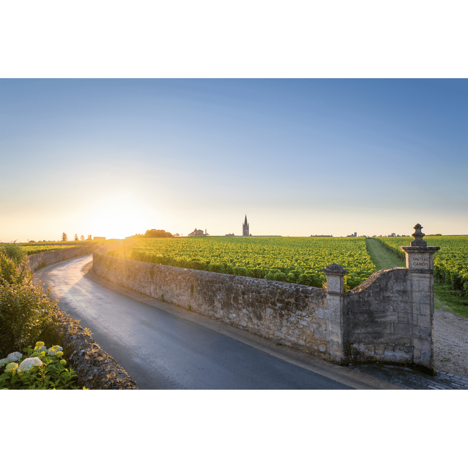 2009 Château Canon (Magnum) - Angry Wine Merchant